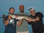 big fish!